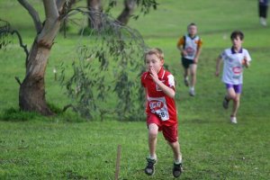 cross-country-630x420